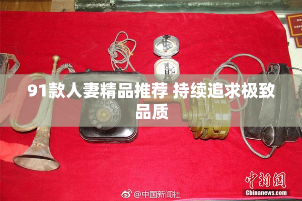 91款人妻精品推荐 持续追求极致品质