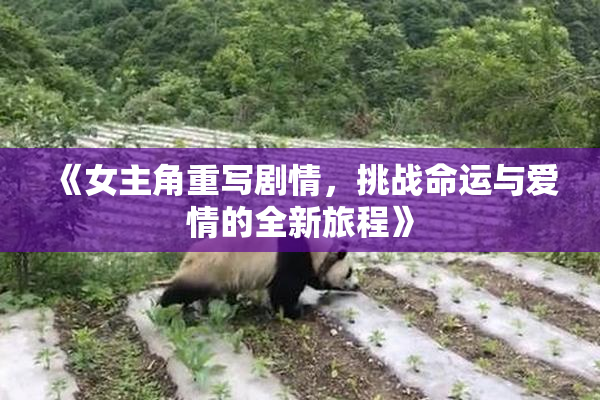 《女主角重写剧情，挑战命运与爱情的全新旅程》