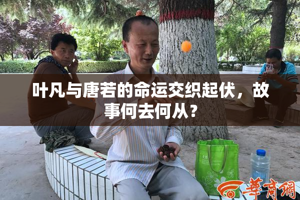 叶凡与唐若的命运交织起伏，故事何去何从？