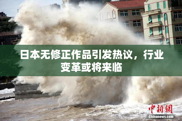 日本无修正作品引发热议，行业变革或将来临
