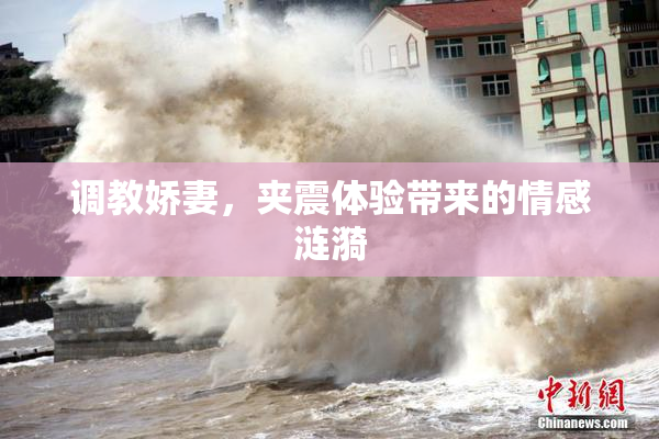 调教娇妻，夹震体验带来的情感涟漪