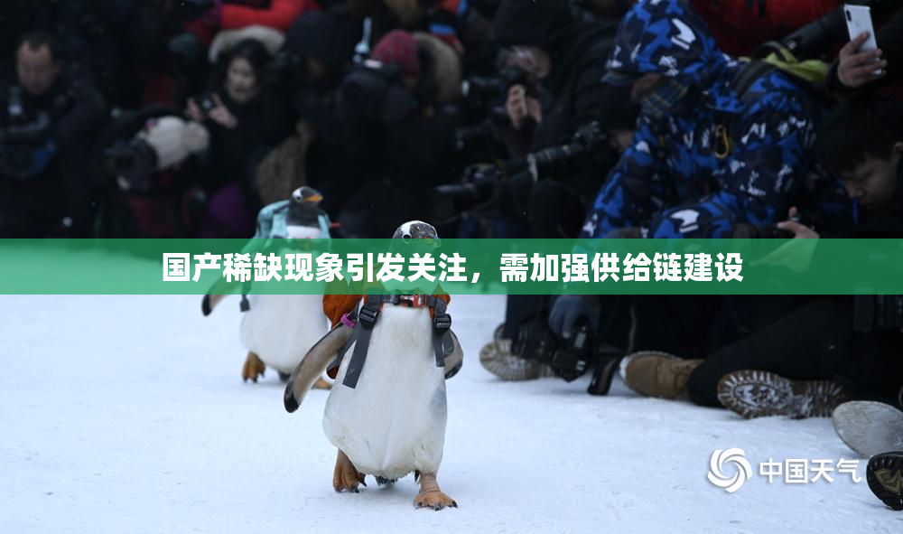 国产稀缺现象引发关注，需加强供给链建设