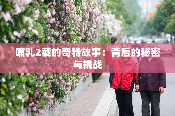 哺乳2截的奇特故事：背后的秘密与挑战