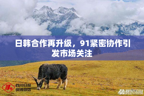 日韩合作再升级，91紧密协作引发市场关注