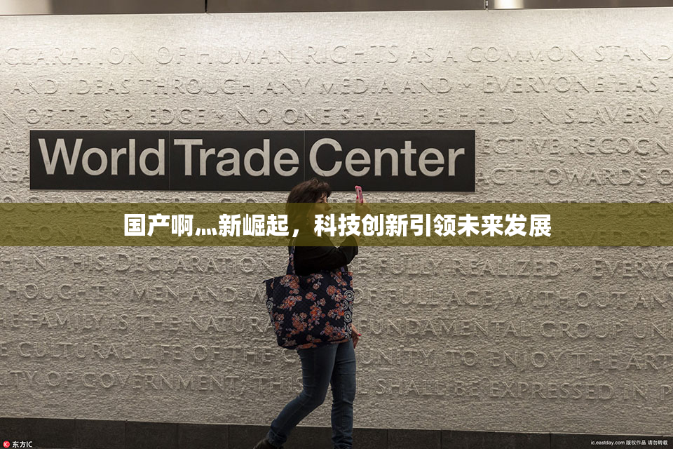 国产啊灬新崛起，科技创新引领未来发展