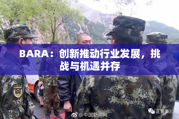 BARA：创新推动行业发展，挑战与机遇并存