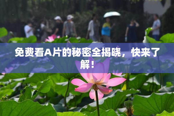 免费看A片的秘密全揭晓，快来了解！