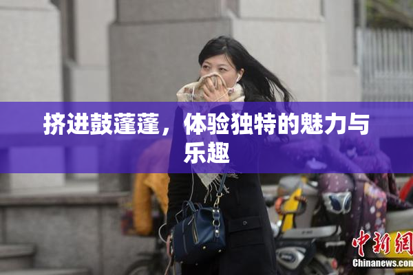 挤进鼓蓬蓬，体验独特的魅力与乐趣