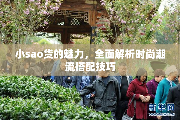 小sao货的魅力，全面解析时尚潮流搭配技巧