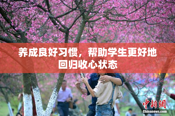养成良好习惯，帮助学生更好地回归收心状态