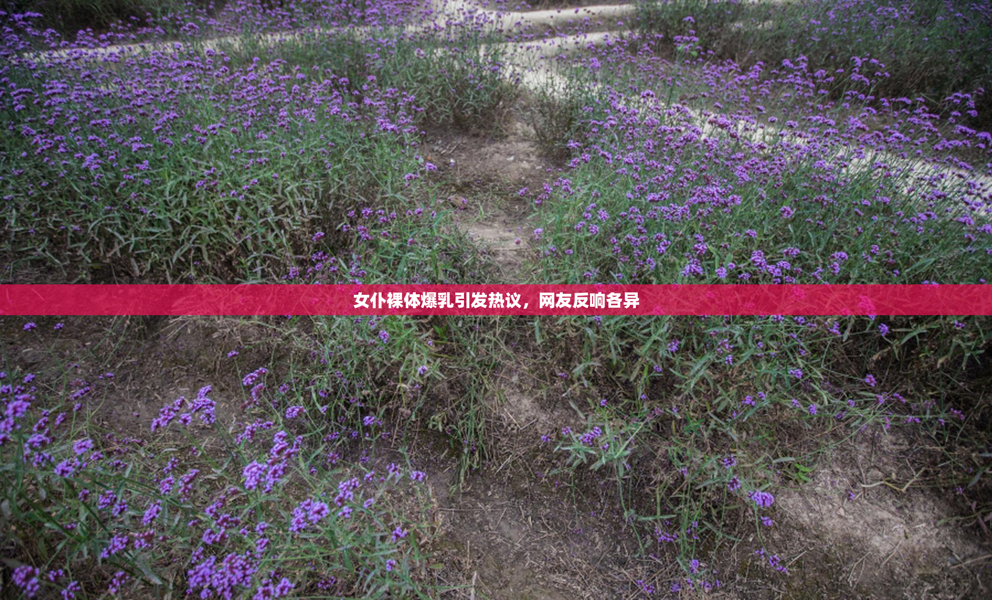 女仆裸体爆乳引发热议，网友反响各异