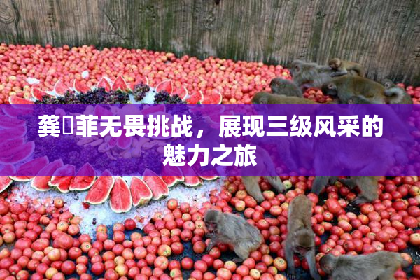 龚玥菲无畏挑战，展现三级风采的魅力之旅