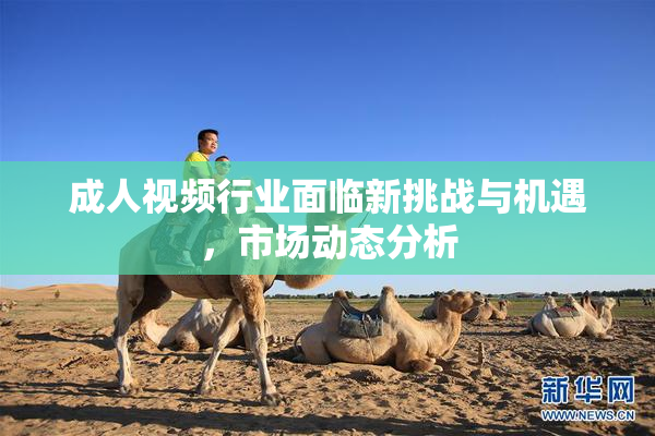 成人视频行业面临新挑战与机遇，市场动态分析