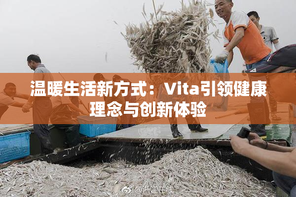 温暖生活新方式：Vita引领健康理念与创新体验