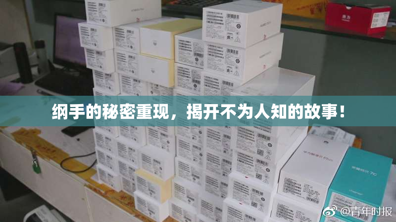 纲手的秘密重现，揭开不为人知的故事！