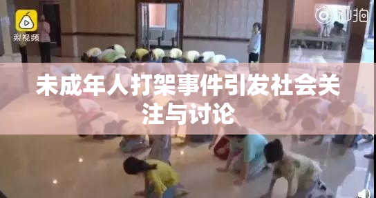 未成年人打架事件引发社会关注与讨论