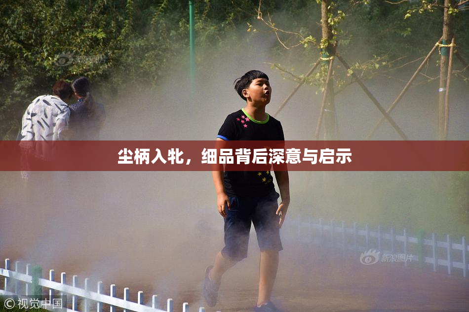 尘柄入牝，细品背后深意与启示