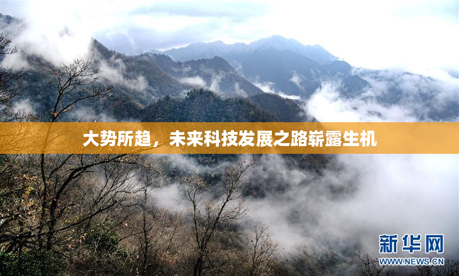大势所趋，未来科技发展之路崭露生机