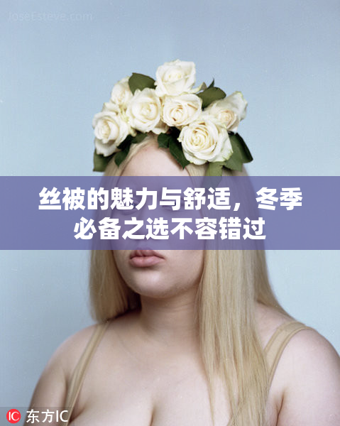 丝被的魅力与舒适，冬季必备之选不容错过