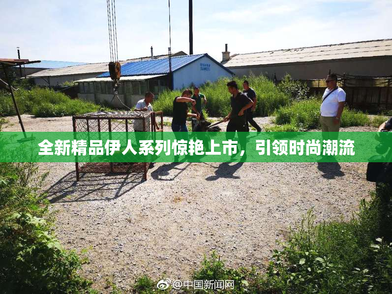 全新精品伊人系列惊艳上市，引领时尚潮流
