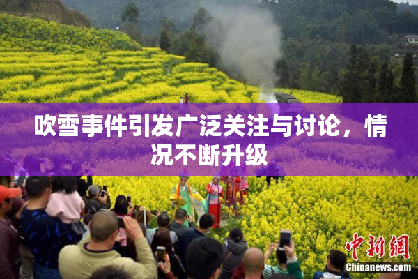 吹雪事件引发广泛关注与讨论，情况不断升级