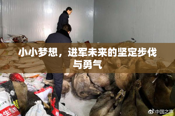 小小梦想，进军未来的坚定步伐与勇气