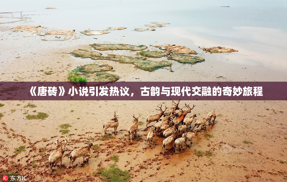 《唐砖》小说引发热议，古韵与现代交融的奇妙旅程