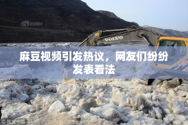 麻豆视频引发热议，网友们纷纷发表看法