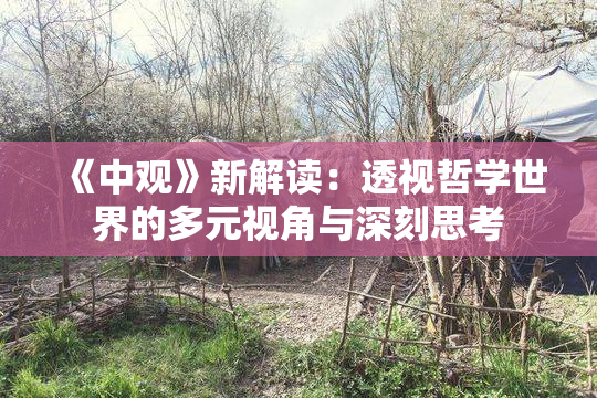 《中观》新解读：透视哲学世界的多元视角与深刻思考