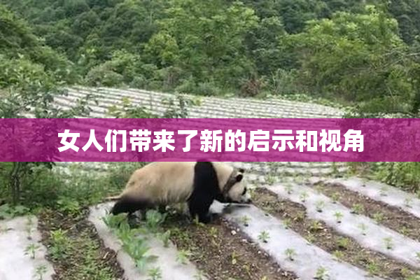 女人们带来了新的启示和视角