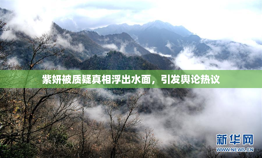 紫妍被质疑真相浮出水面，引发舆论热议