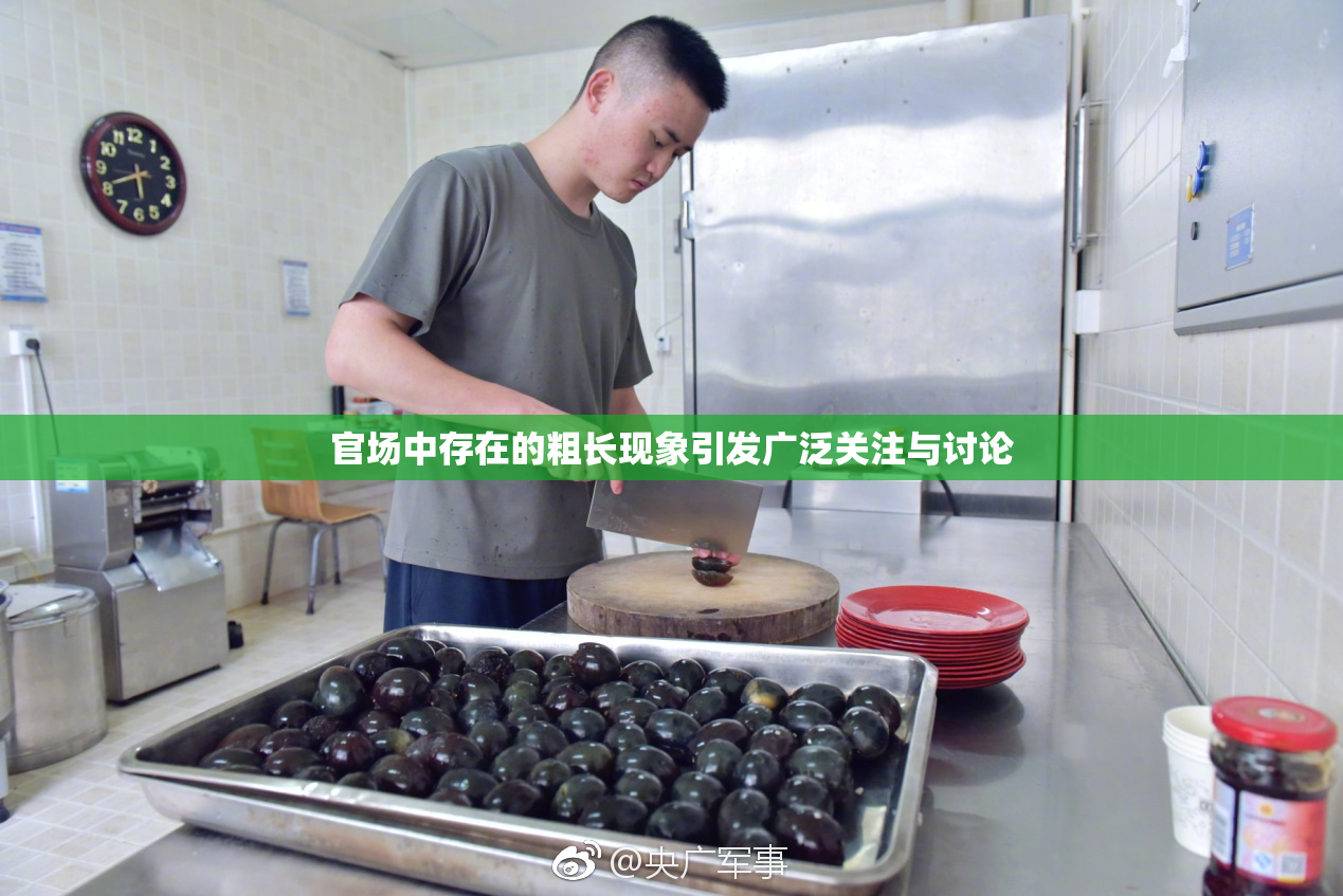 官场中存在的粗长现象引发广泛关注与讨论