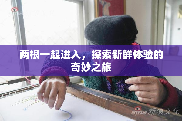 两根一起进入，探索新鲜体验的奇妙之旅