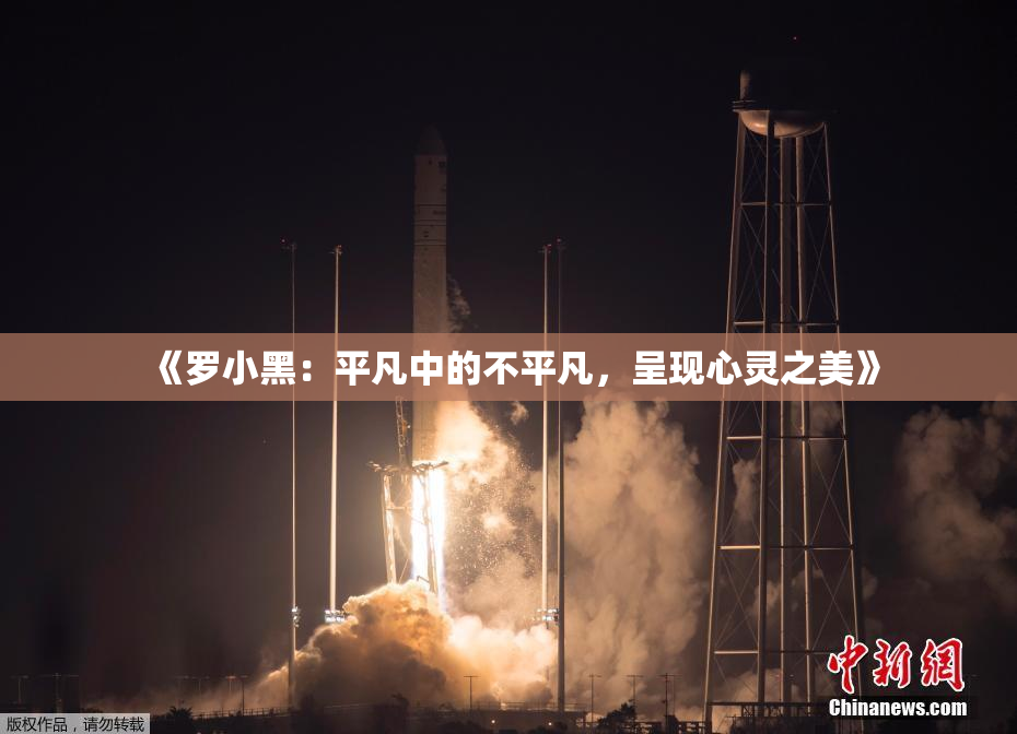《罗小黑：平凡中的不平凡，呈现心灵之美》