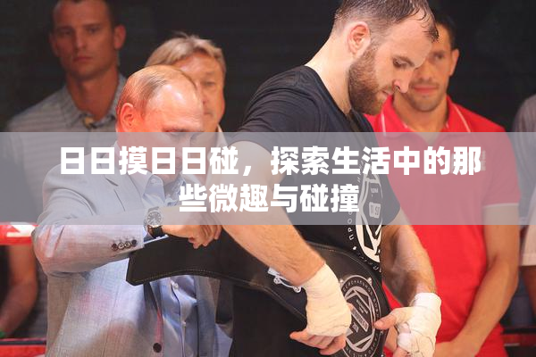 日日摸日日碰，探索生活中的那些微趣与碰撞