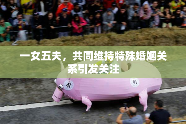 一女五夫，共同维持特殊婚姻关系引发关注