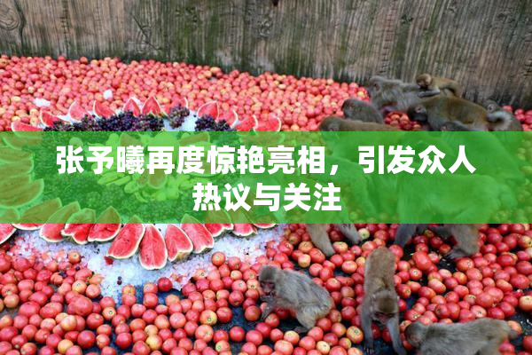 张予曦再度惊艳亮相，引发众人热议与关注