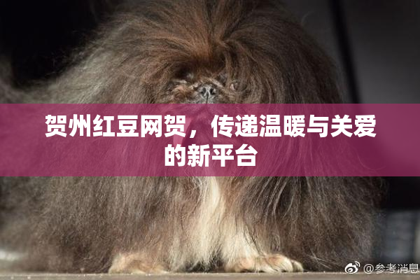 贺州红豆网贺，传递温暖与关爱的新平台
