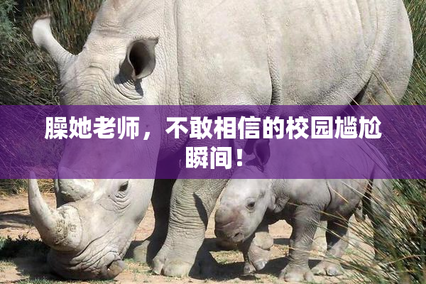 臊她老师，不敢相信的校园尴尬瞬间！