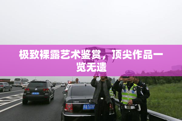 极致裸露艺术鉴赏，顶尖作品一览无遗