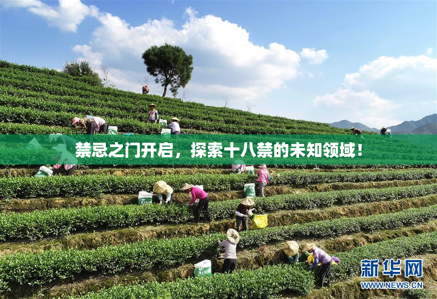 禁忌之门开启，探索十八禁的未知领域！