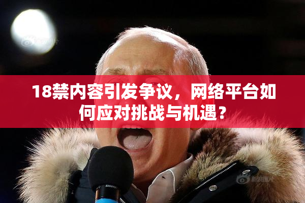18禁内容引发争议，网络平台如何应对挑战与机遇？