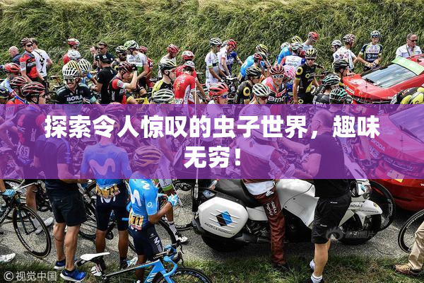 探索令人惊叹的虫子世界，趣味无穷！