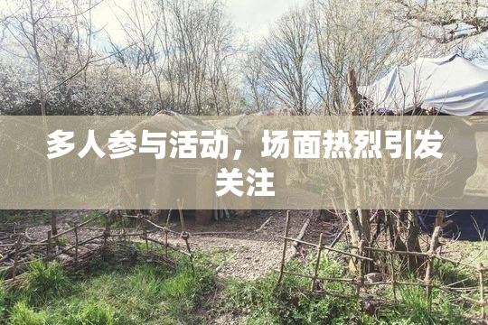 多人参与活动，场面热烈引发关注