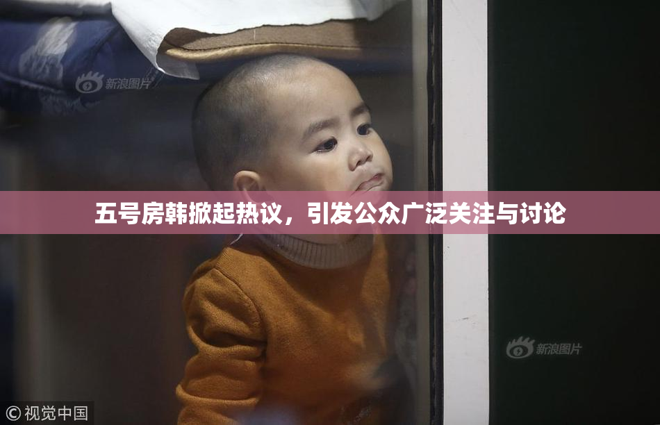 五号房韩掀起热议，引发公众广泛关注与讨论