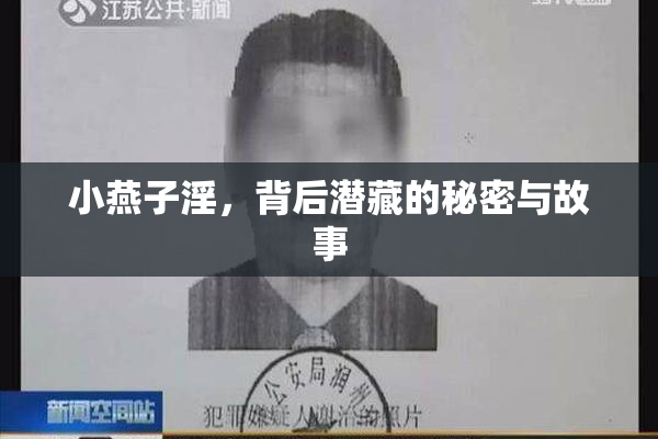 小燕子淫，背后潜藏的秘密与故事