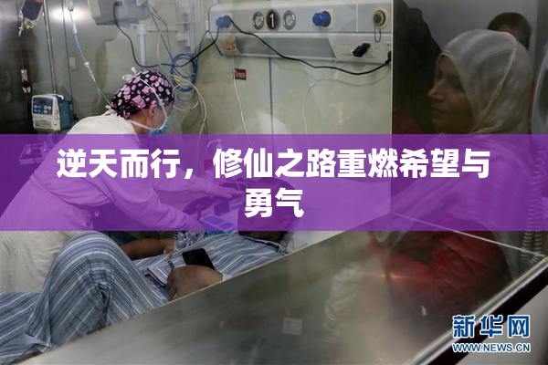 逆天而行，修仙之路重燃希望与勇气