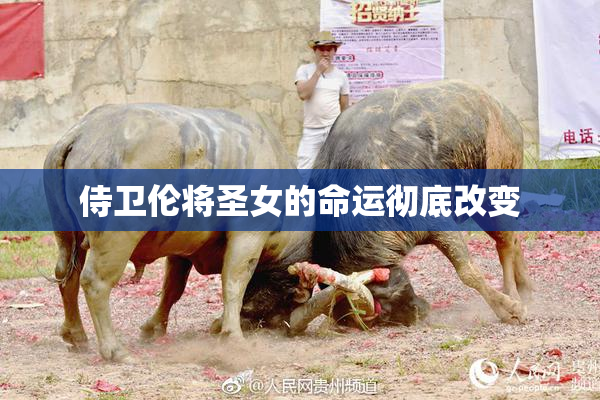 侍卫伦将圣女的命运彻底改变