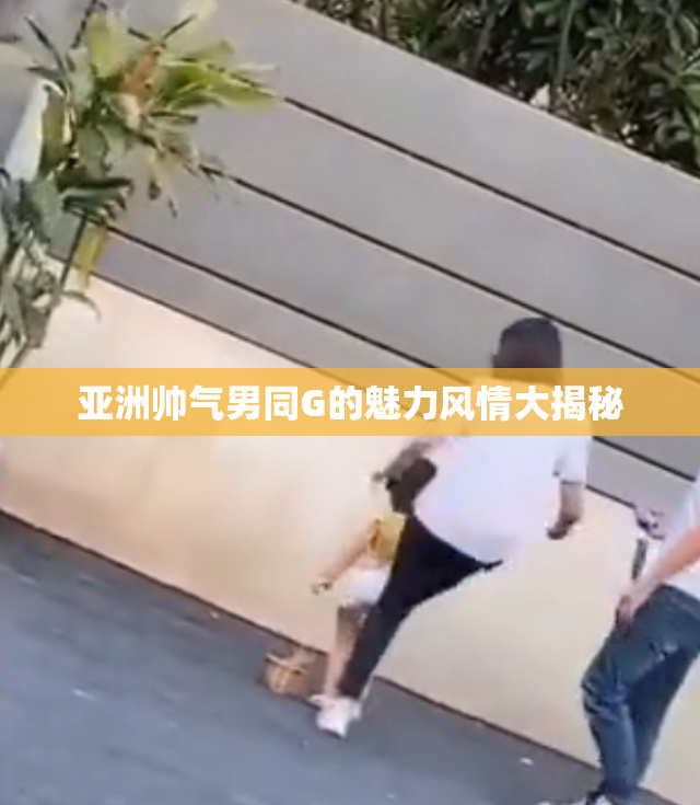 亚洲帅气男同G的魅力风情大揭秘