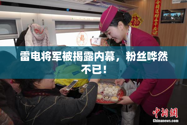 雷电将军被揭露内幕，粉丝哗然不已！
